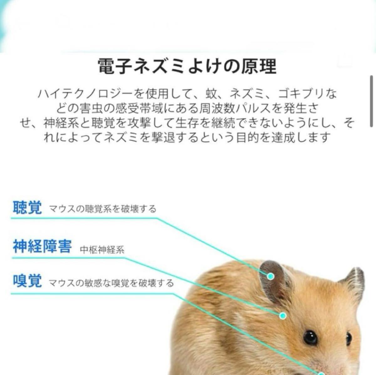 ネズミ駆除器 超音波 蟲除け ゴキブリ駆除害 蟲退治 2個(gè)セット
