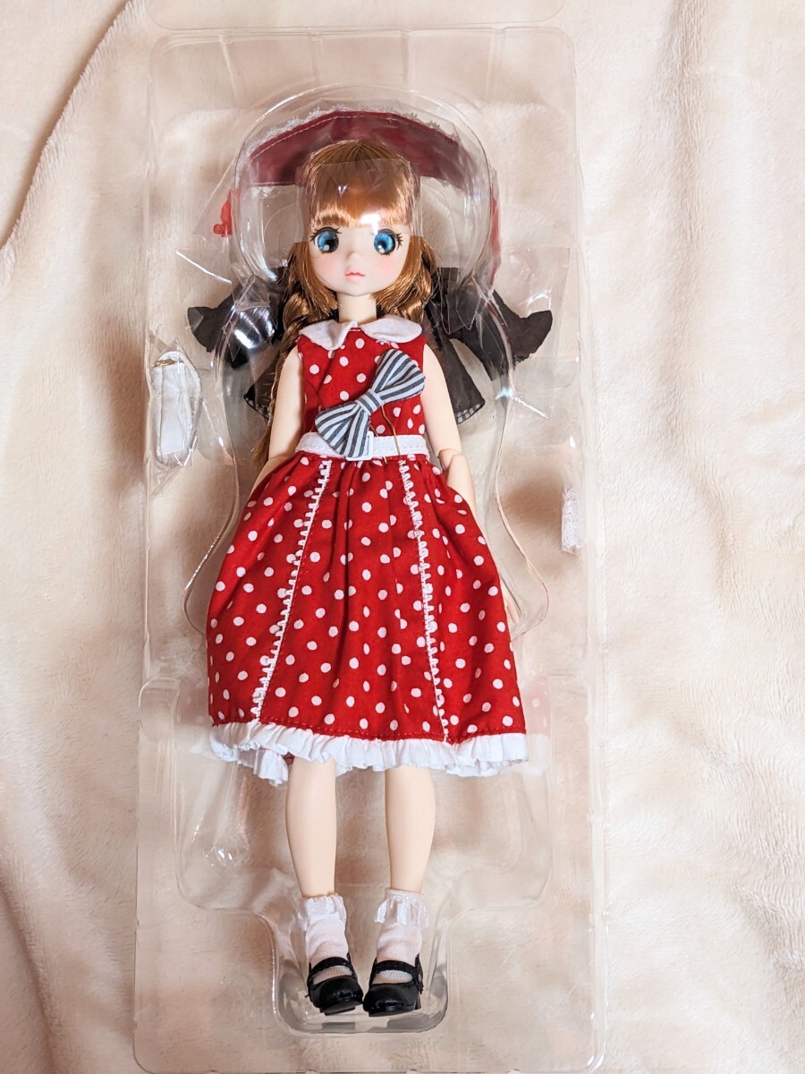 アゾン Pookie Boo BonBon プーキーブーボンボン/POLKA DOT アゾン Pookie Boo BonBon プーキーブーボンボン/POLKA DOT