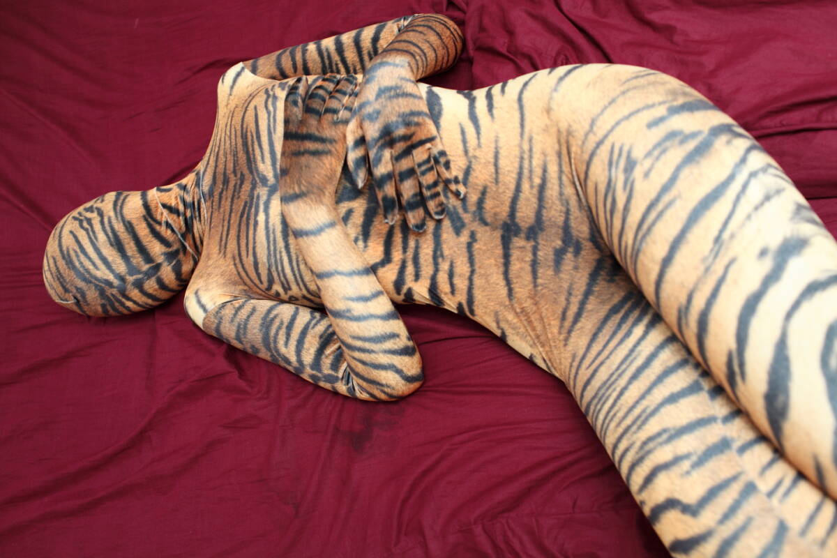 09071201 [Coquettish Darling] Download sale of Zentai Pictures by Marcy Anarchy