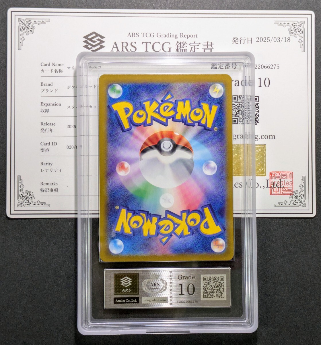 ARS鑑定 10】ポケモンカード マリィのモルペコ AR 020/019 ARS鑑定 10】ポケモンカード マリィのモルペコ AR 020/019
