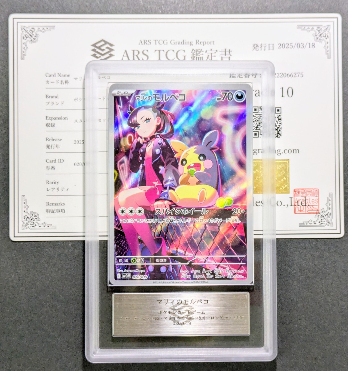 ARS鑑定 10】ポケモンカード マリィのモルペコ AR 020/019 ARS鑑定 10】ポケモンカード マリィのモルペコ AR 020/019