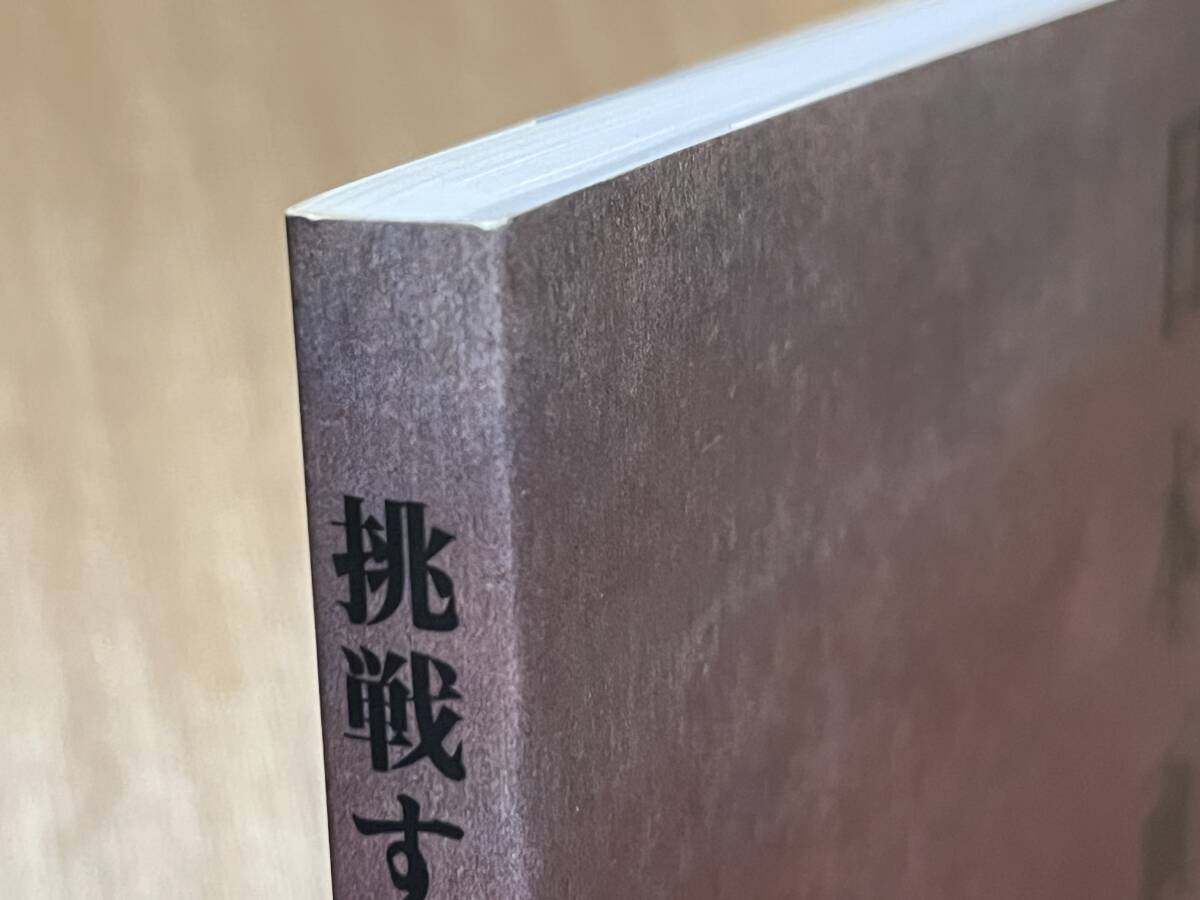 図録『挑戦する日本画 一九五〇~七〇年代の画家たち』(本) _画像3