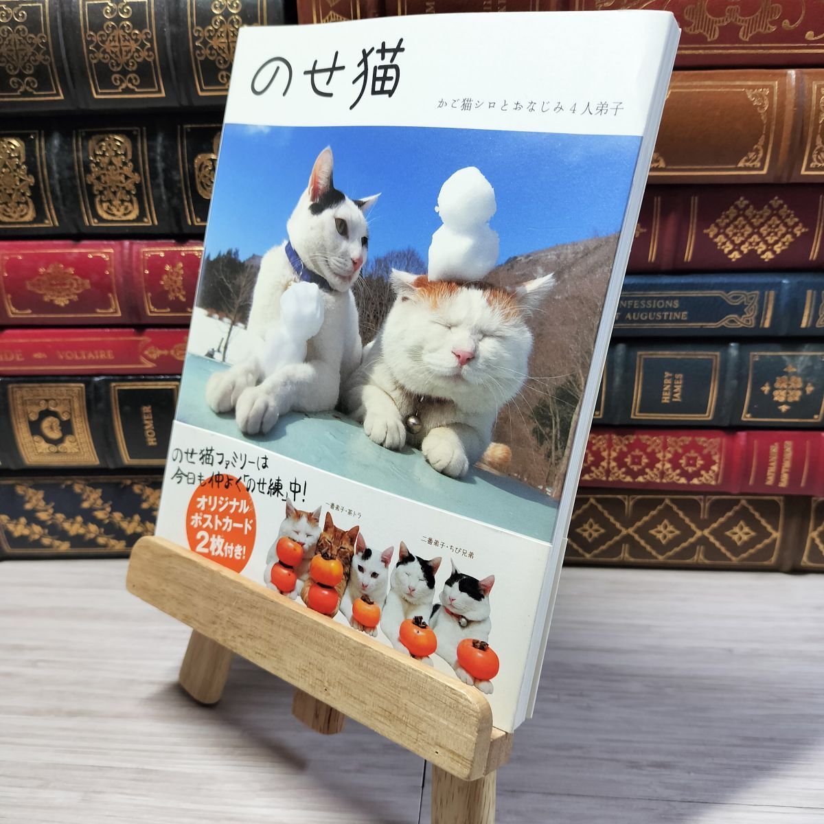 item_image_1