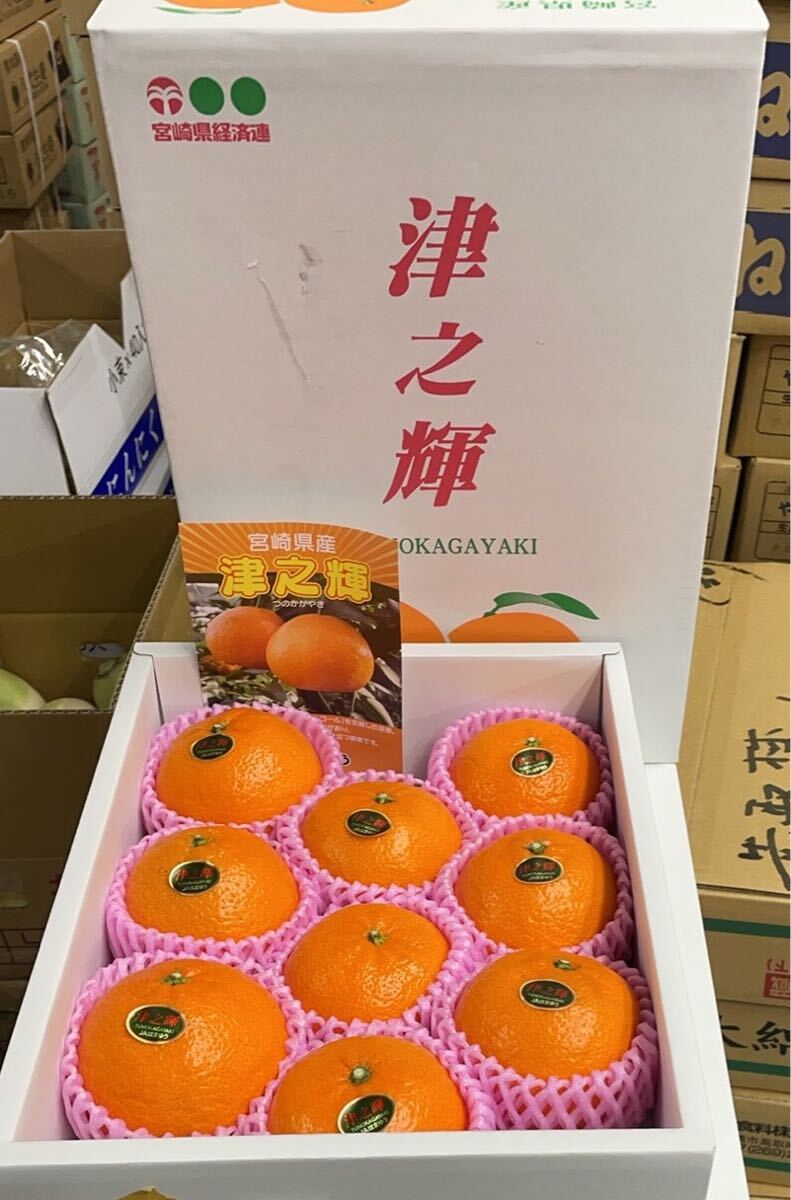 444.数量限定希少品種みかんの王様「津之輝」秀品 贈答用ギフト御歳暮プレゼント玉数お任せ