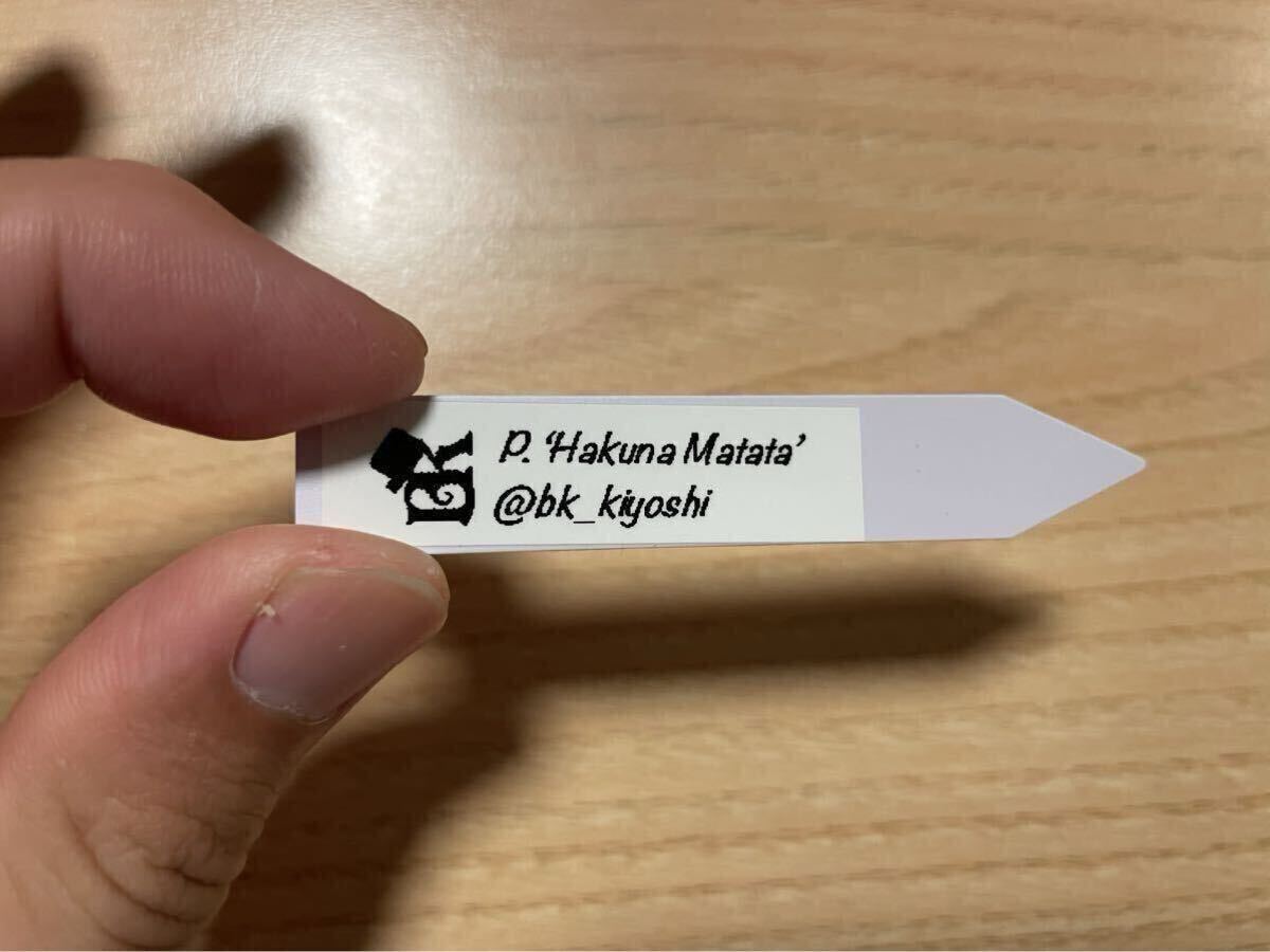 Yahoo!オークション - きよし P. 'Hakuna Matata' ビカクシダ Yahoo!オークション - きよし P. 'Hakuna Matata' ビカクシダ