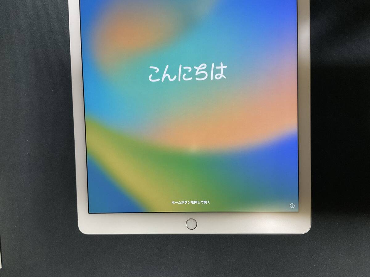 iPad Pro 12.9インチ 第1世代 Wi-Fiモデル 32GB シルバー ML0G2J iPad Pro 12.9インチ 第1世代 Wi-Fiモデル 32GB シルバー ML0G2J