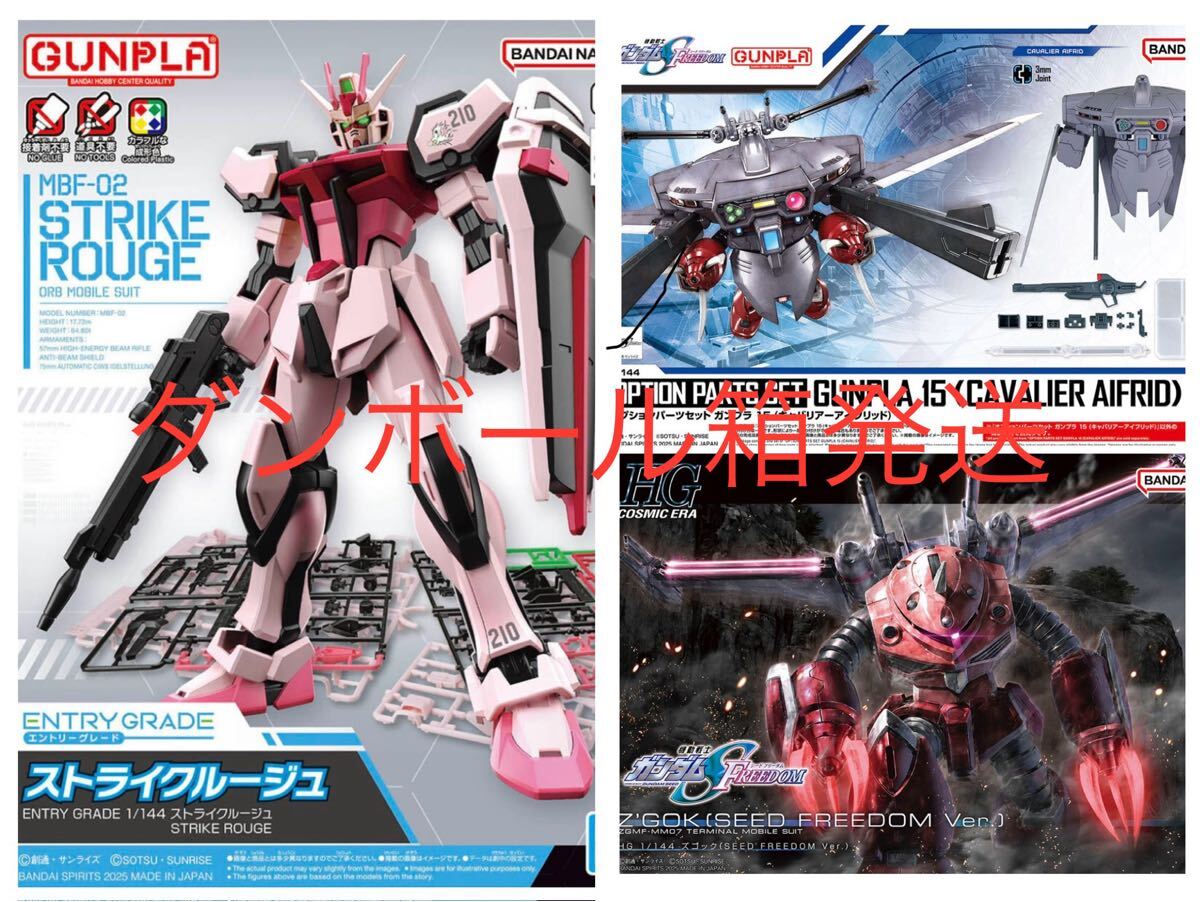 ダンボール箱発送 HG ズゴック(SEED FREEDOM Ver.) オプションパーツセット15 (キャバリアーアイフリッド) EG ストライクルージュ 未組立