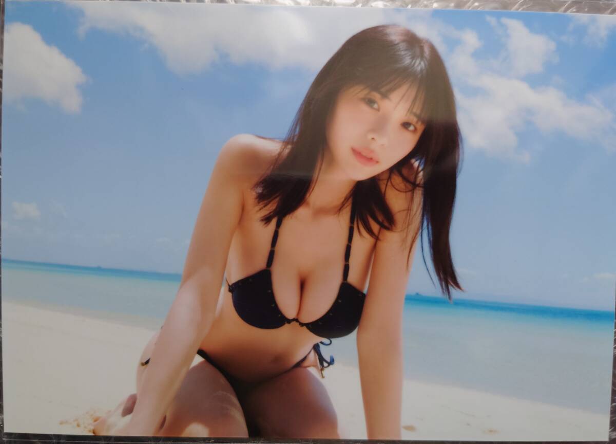 直筆サイン入り 菊地姫奈 3rd写真集「memory」 イベント特典生 直筆サイン入り 菊地姫奈 3rd写真集「memory」 イベント特典生