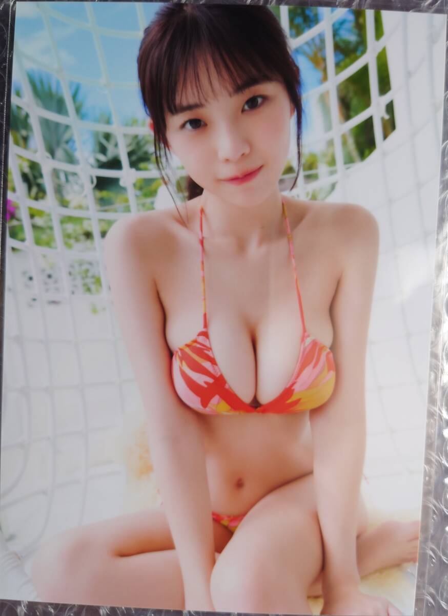 直筆サイン入り 菊地姫奈 3rd写真集「memory」 イベント特典生 直筆サイン入り 菊地姫奈 3rd写真集「memory」 イベント特典生
