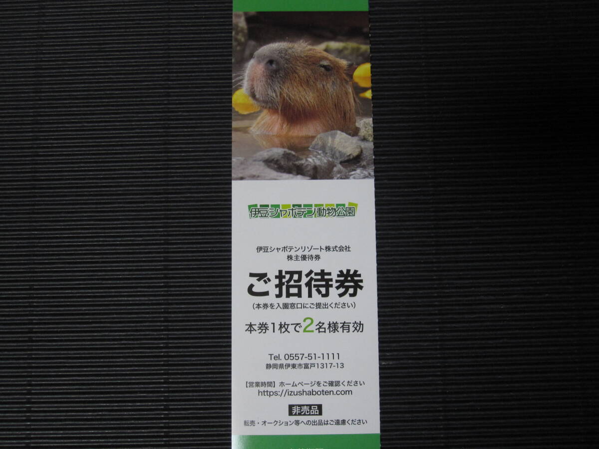 株主优待券 伊豆シャボテン动物公园 1枚で2名様 1-2枚（伊豆シャボテンリゾート シャボテン公园）