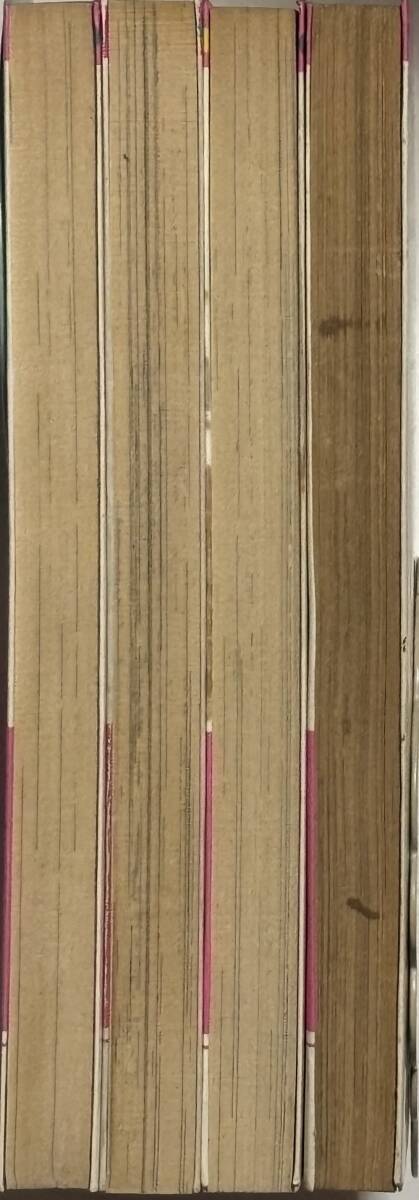 * スキニー やせっぽち 全4巻 * 牧野和子 原作/後藤ゆきお フラワーコミックス_画像4