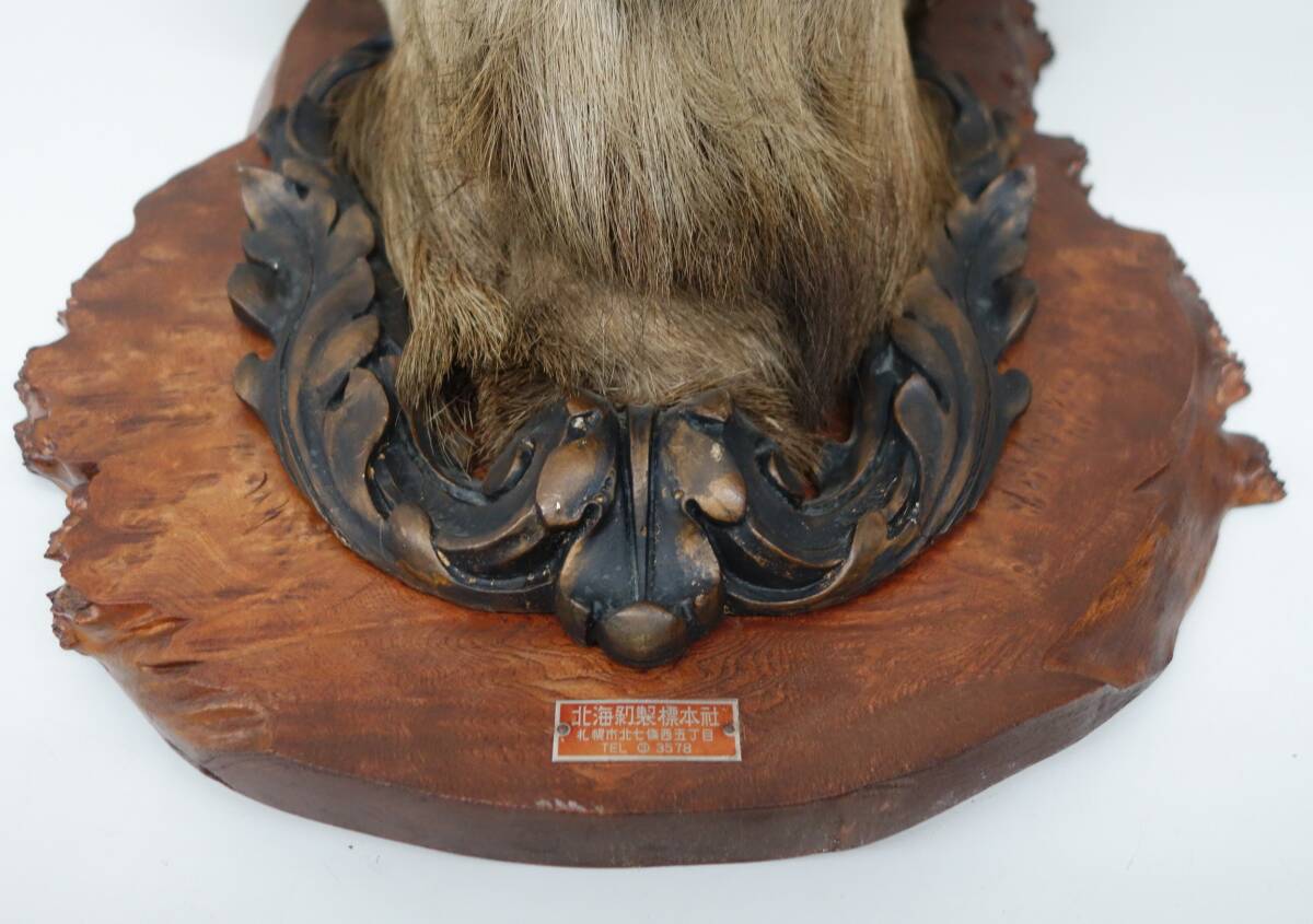 item_image_10