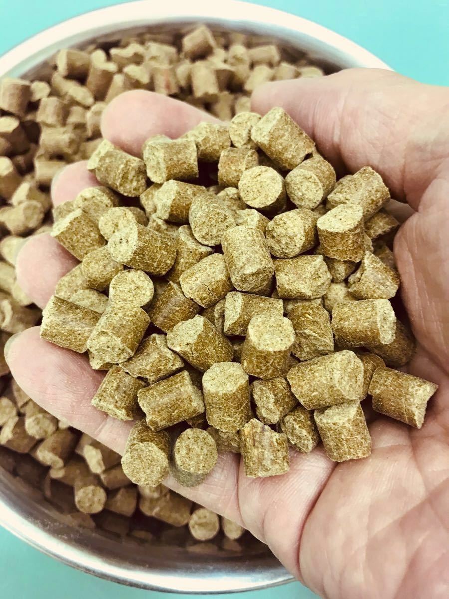 送料無料 錦鯉に最適な餌 アスタキサンチン配合 色揚げ用飼料 8㎜ペレット1500g入り 沈下性 高タンパク餌