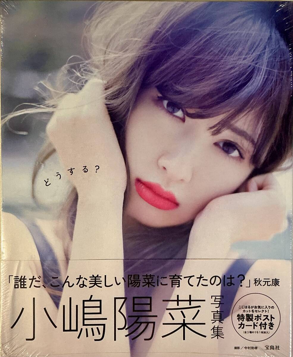 ☆ 未開封 小嶋陽菜 写真集 どうする？ ポストカード付 巨乳 美女 美尻 セクシー グラマー スレンダー 水着 送料230