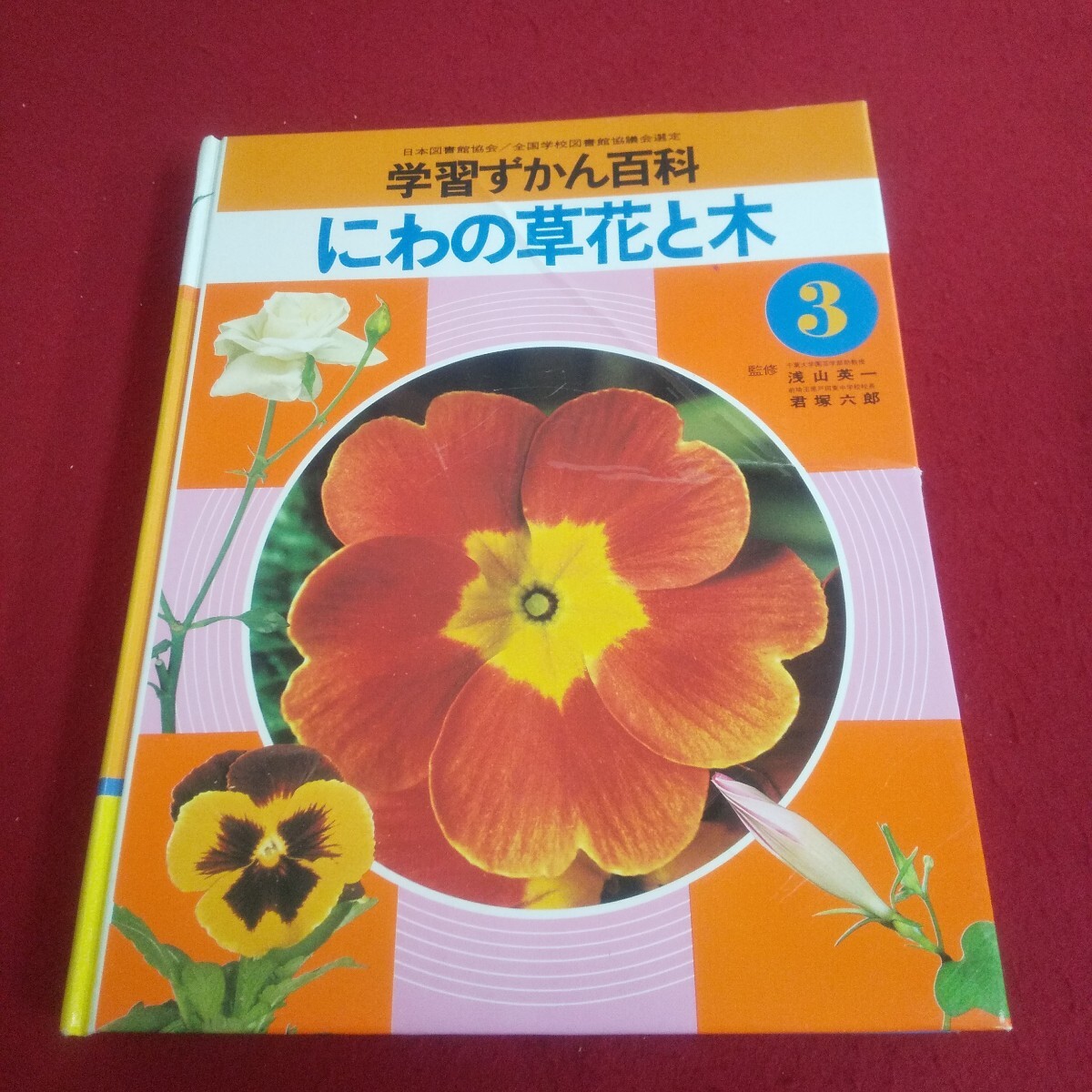 item_image_2