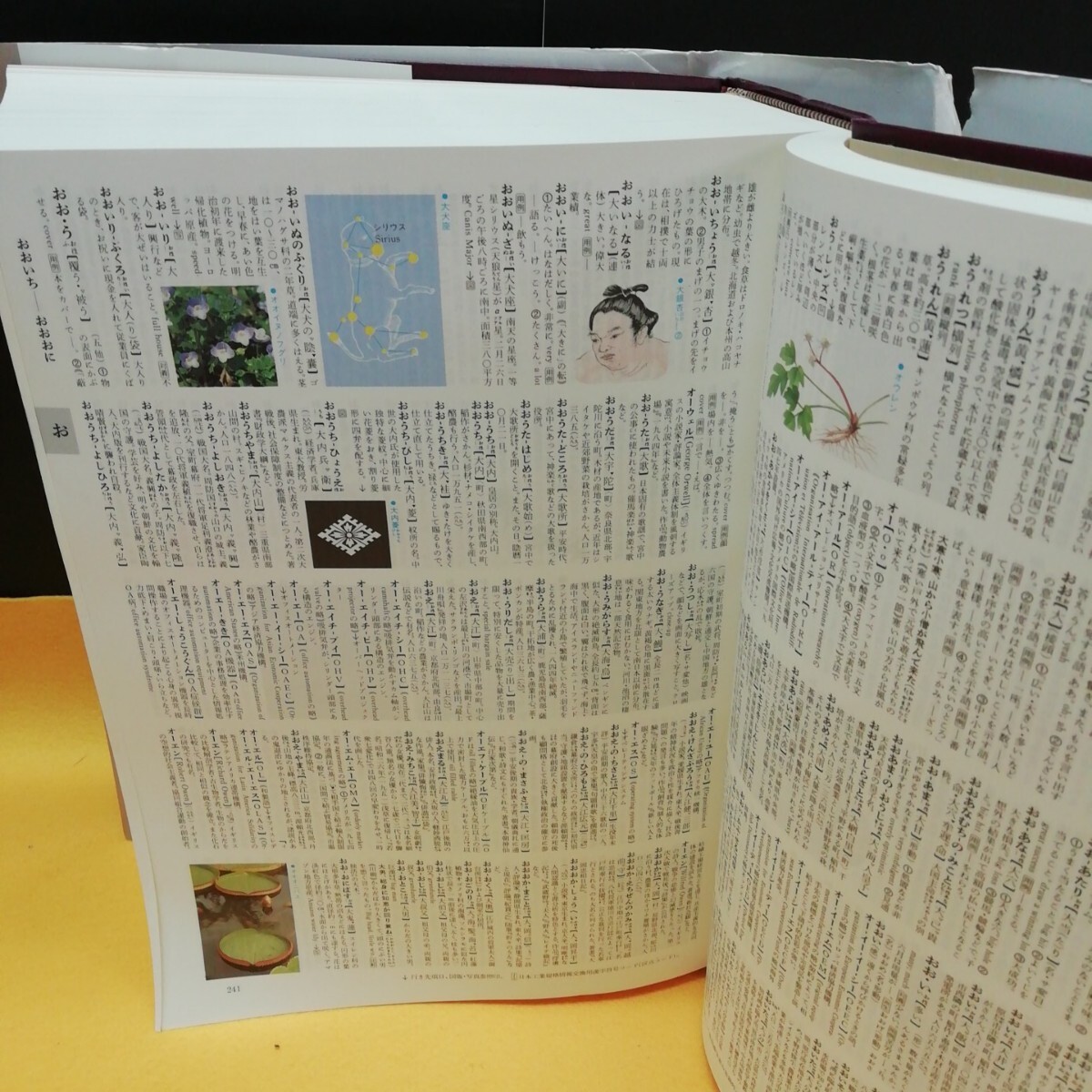item_image_4