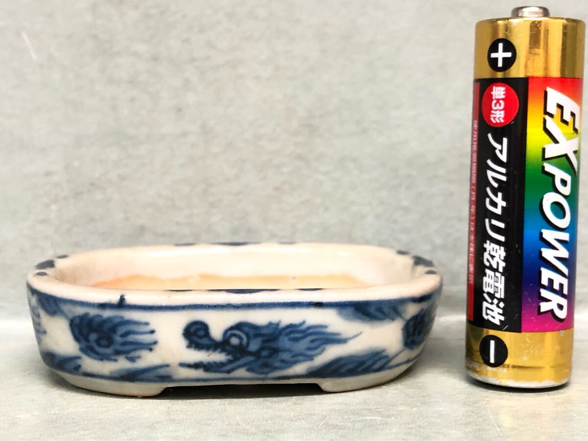 祝峯 やや大きめ 浅め 盆栽鉢 長方