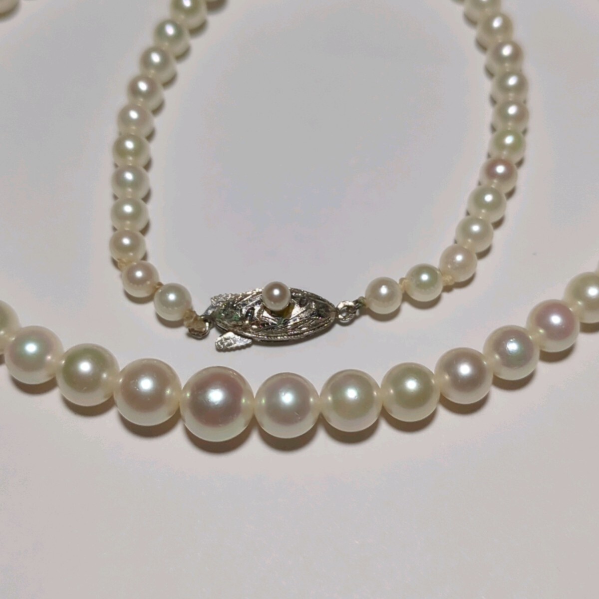 ミキモト MIKIMOTO】ネックレス グラデーション Mチャーム