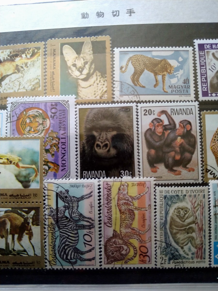 item_image_4