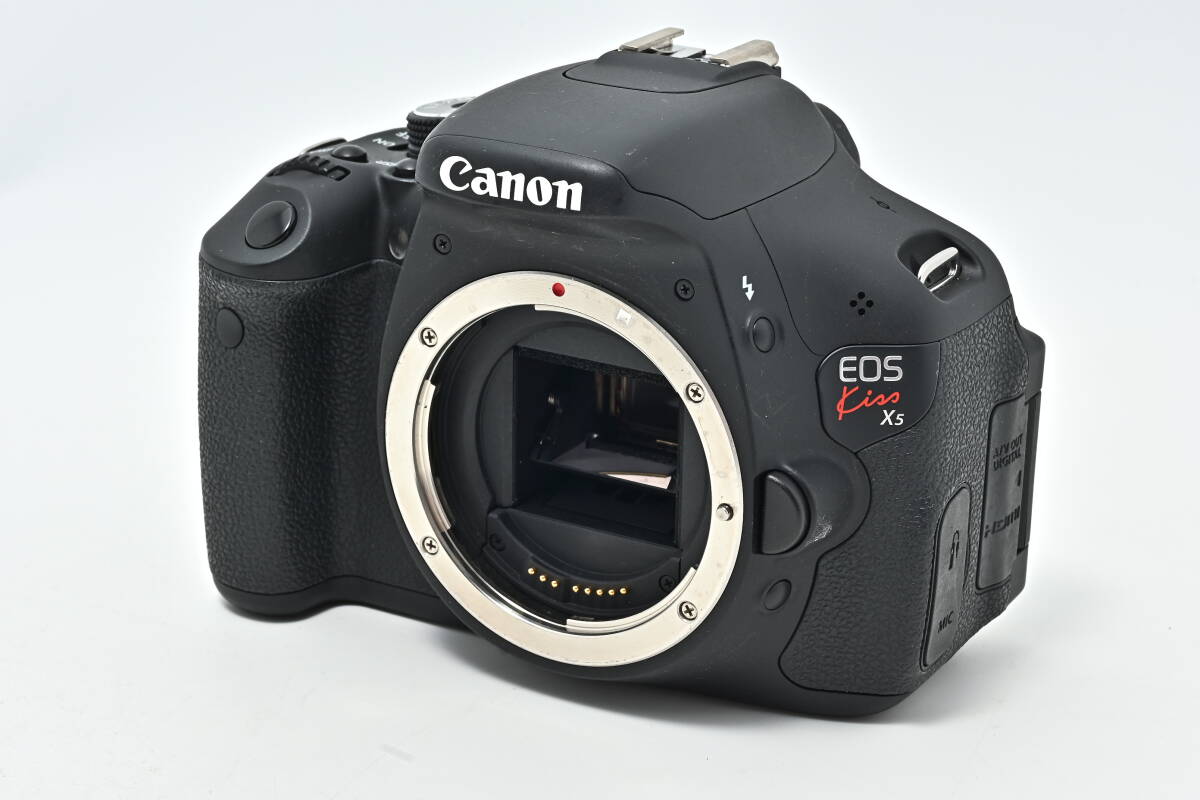 1F-084 Canon キヤノン EOS Kiss X5 + EF-S 18-55mm f/3.5-5.6 1F-084 Canon キヤノン EOS Kiss X5 + EF-S 18-55mm f/3.5-5.6