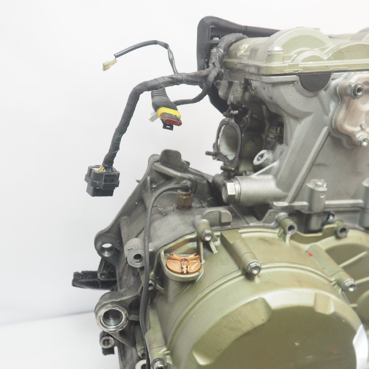 板ちゃい ちょび TF014093.jpg