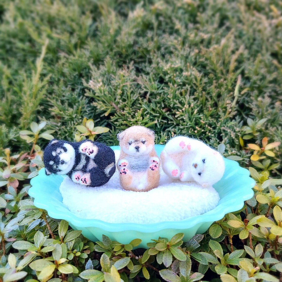 item_image_9