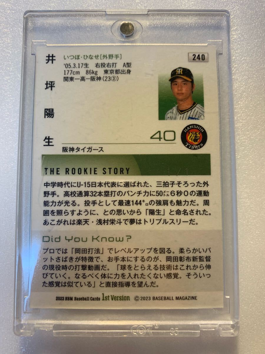 1of1】井坪陽生 BBM 2023 1st 1/1 1枚限定 スカイブルー箔 1of1】井坪陽生 BBM 2023 1st 1/1 1枚限定 スカイブルー箔