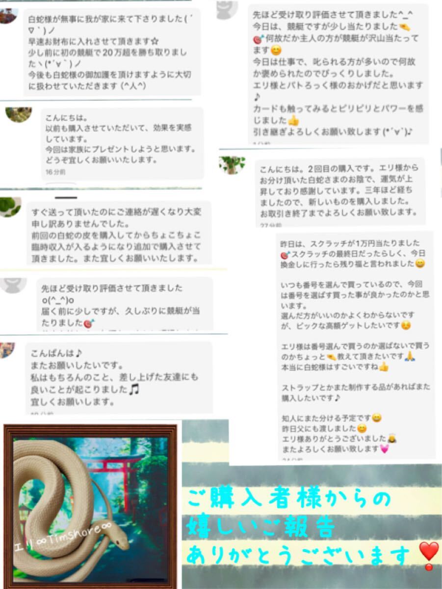 白蛇の抜け殻☆巳年生まれが育てる蛇のお守り☆顔 顎☆貴重【天 白蛇の抜け殻☆巳年生まれが育てる蛇のお守り☆顔 顎☆貴重【天