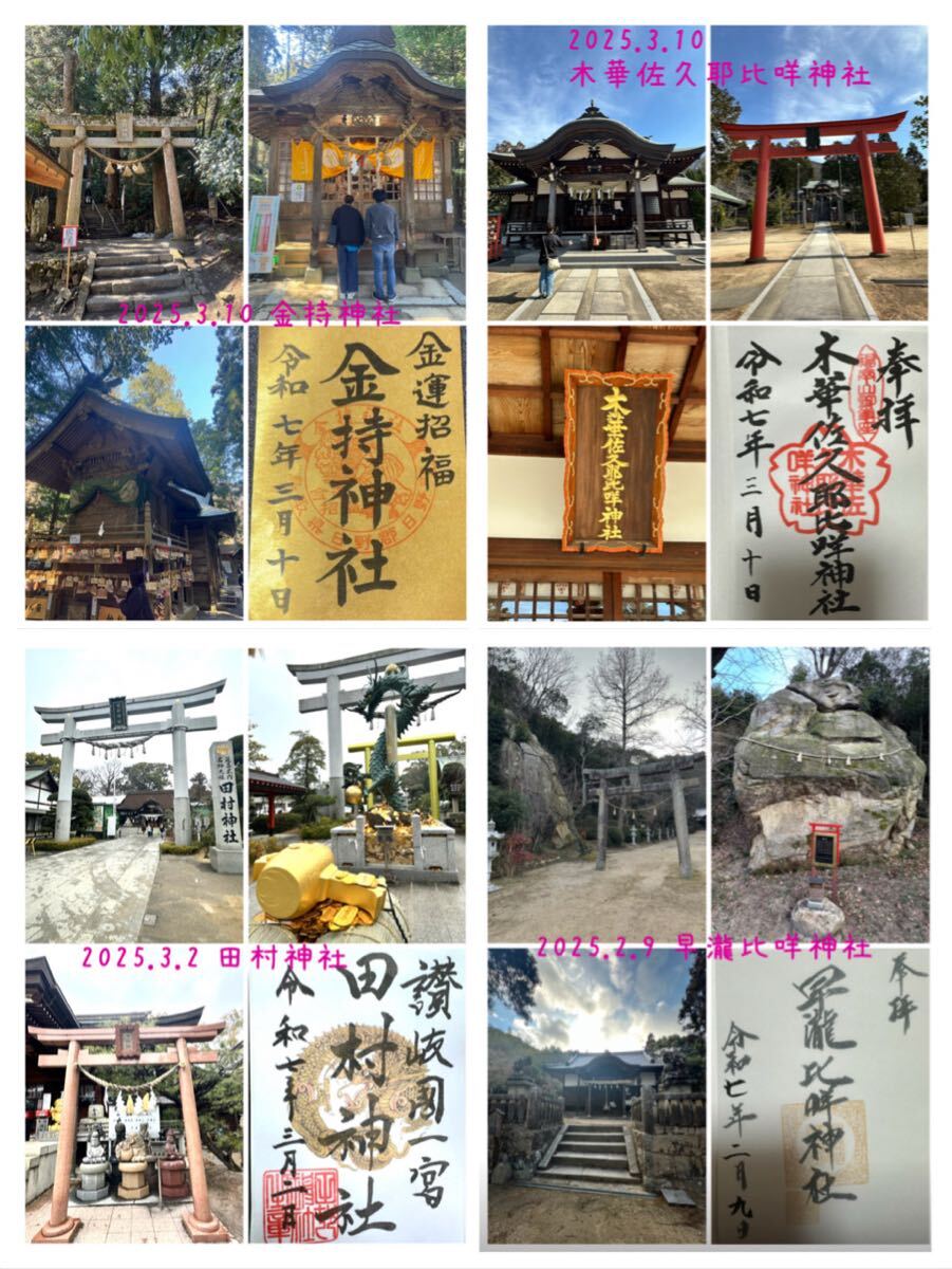 白蛇の抜け殻☆巳年生まれが育てる蛇のお守り☆顔 顎☆貴重【天 白蛇の抜け殻☆巳年生まれが育てる蛇のお守り☆顔 顎☆貴重【天