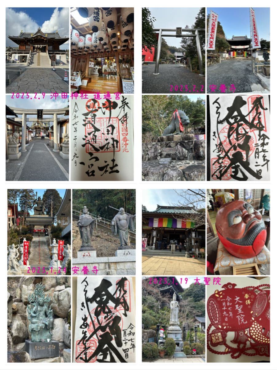 白蛇の抜け殻☆巳年生まれが育てる蛇のお守り☆顔 顎☆貴重【天 白蛇の抜け殻☆巳年生まれが育てる蛇のお守り☆顔 顎☆貴重【天