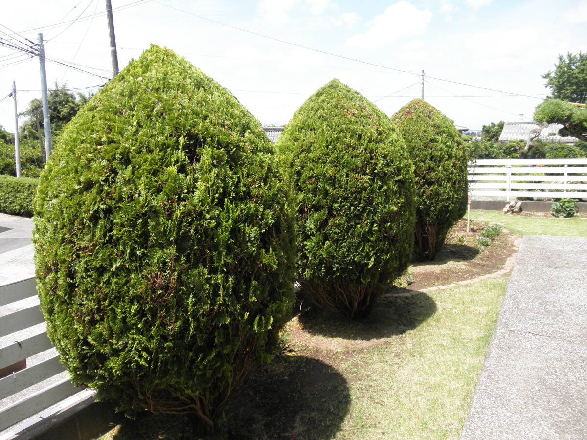 item_image_9