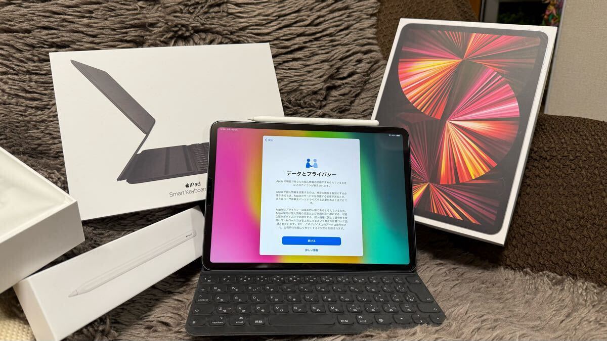 Apple iPad Pro 11インチ Wi-Fi 512GB M1(第3世代)スペース Apple iPad Pro 11インチ Wi-Fi 512GB M1(第3世代)スペース