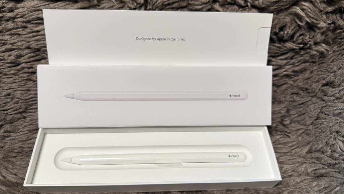 Apple iPad Pro 11インチ Wi-Fi 512GB M1(第3世代)スペース Apple iPad Pro 11インチ Wi-Fi 512GB M1(第3世代)スペース
