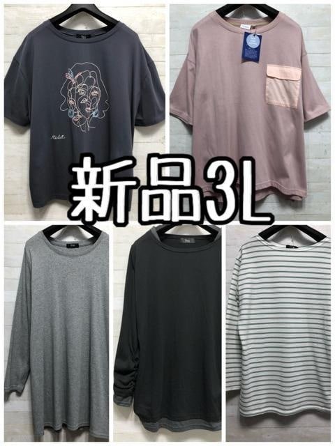 新品☆3L?TシャツやロンTなど?5枚セット〇G560