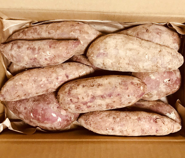 自然栽培 さつま芋(4kg)★愛知県産★無肥料・無農薬・自家採取★有機の更に先、自然と共にをテーマに究極の自然農法で作った紅はるか(*^^*)