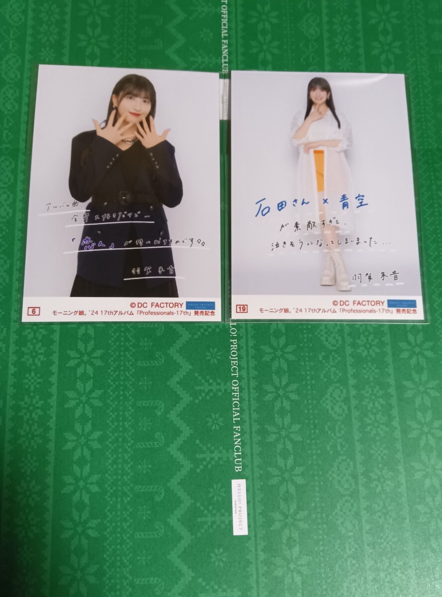 羽賀朱音★2種★コレクション生寫真★17thアルバム発売記念★モーニング娘。'24