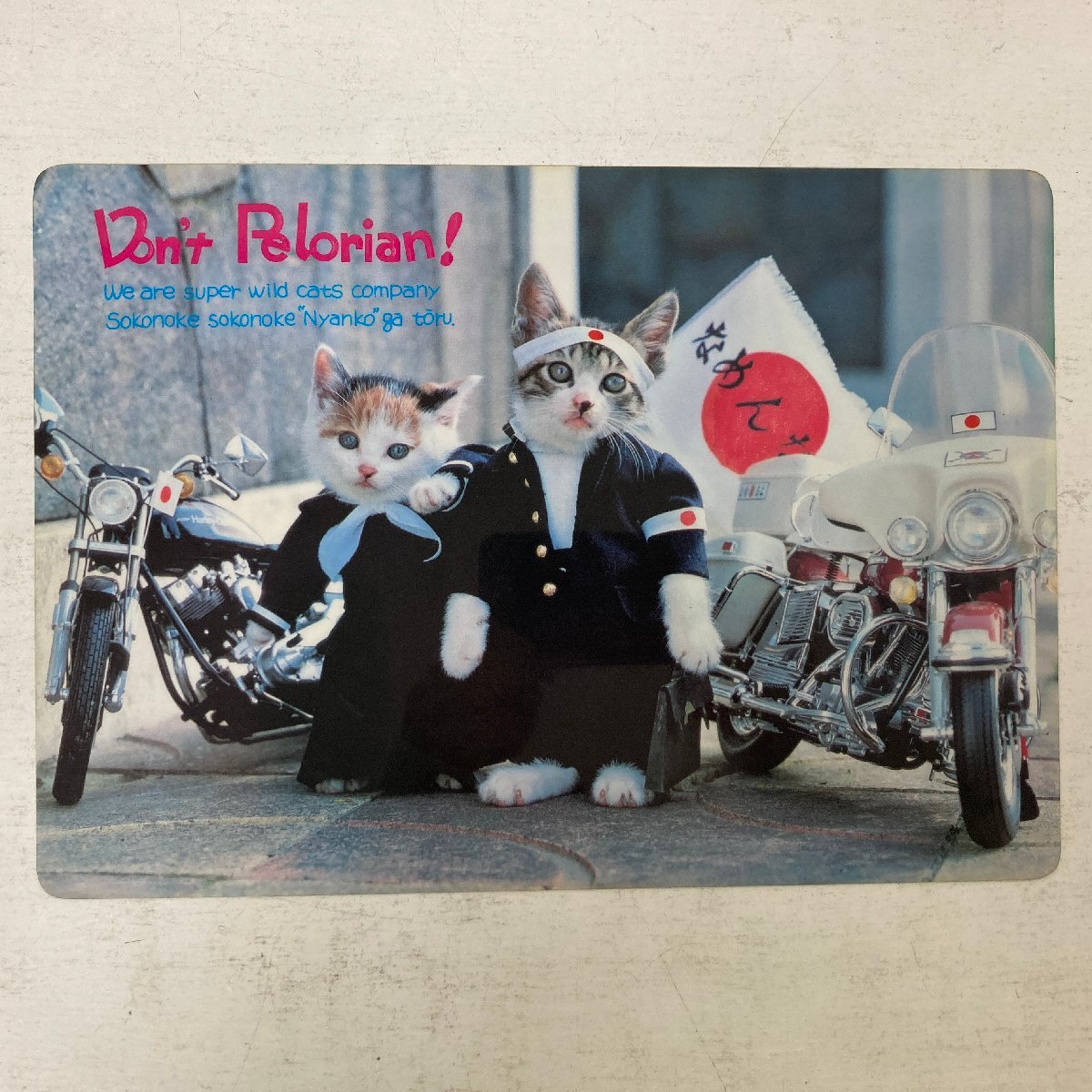 いいスタイル 鏡 なめ猫 平成 昭和 壁掛け PELORIAN DON´T ～なめんなよ～ 鏡