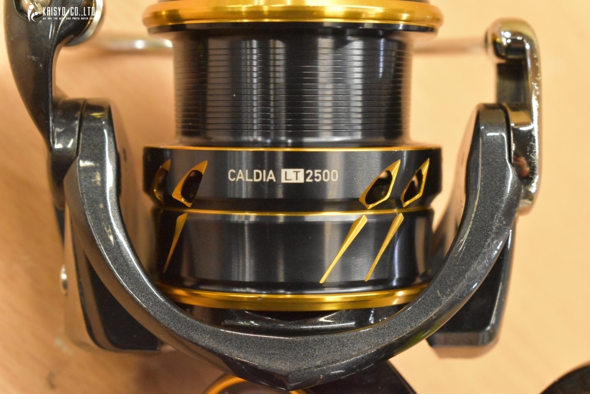 ダイワ 21 カルディア LT 2500 DAIWA CALDIA スピニングリール ダイワ 21 カルディア LT 2500 DAIWA CALDIA スピニングリール