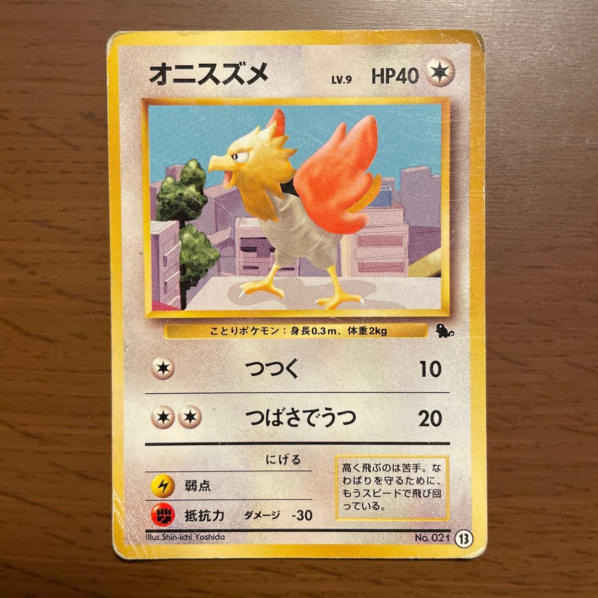 ポケモンカード旧裏面 オニスズメ イントロパックゼニガメマーク ポケモンカード旧裏面 オニスズメ イントロパックゼニガメマーク