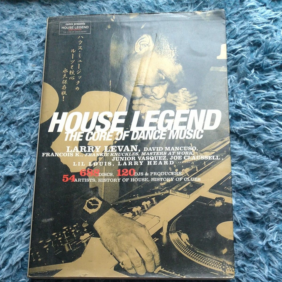 ワイルドロック/ガレージ ディスク・ガイド ジミー益子 坂本慎太郎 ワイルドロック/ガレージ ディスク・ガイド ジミー益子 坂本