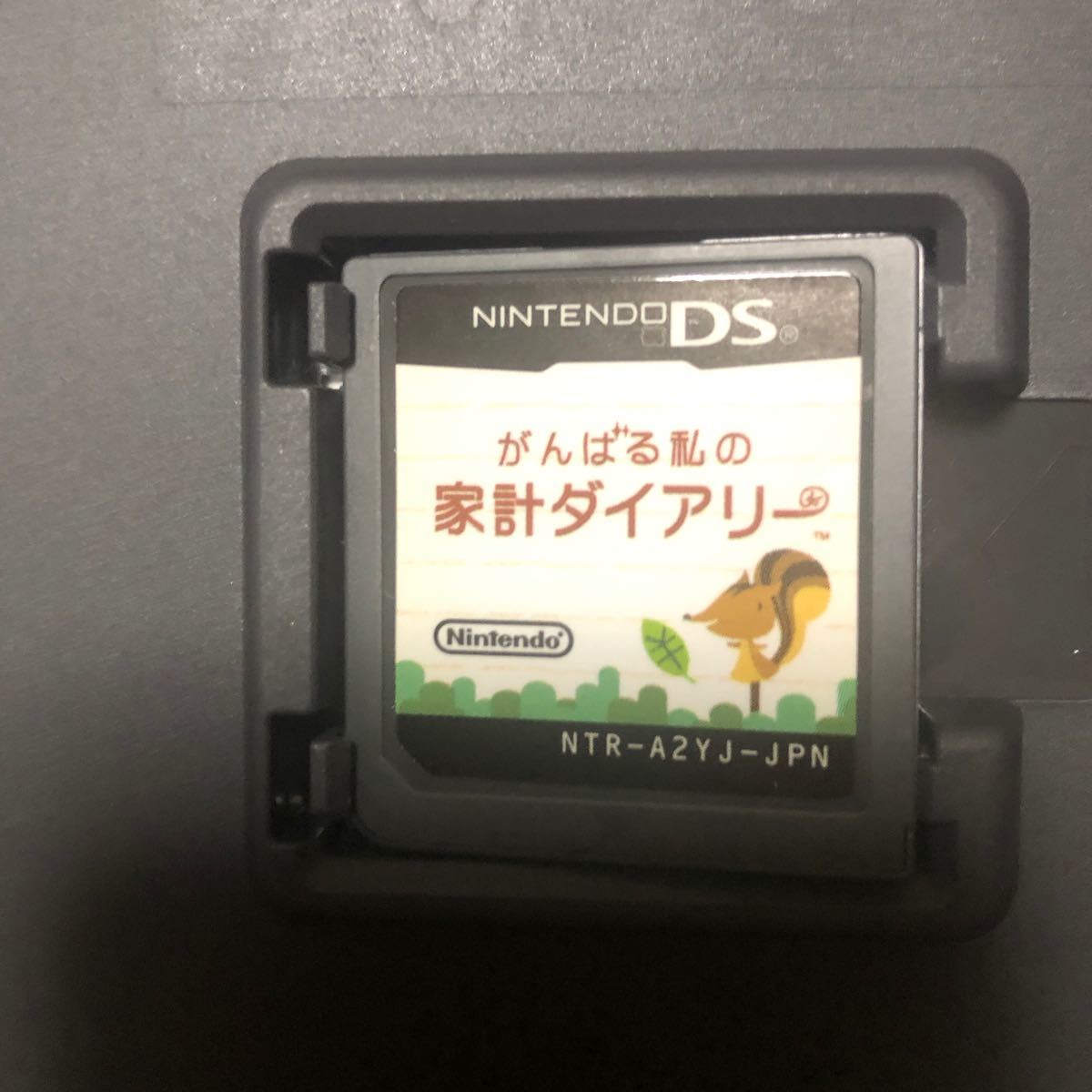 【DS】 がんばる私の家計ダイアリー