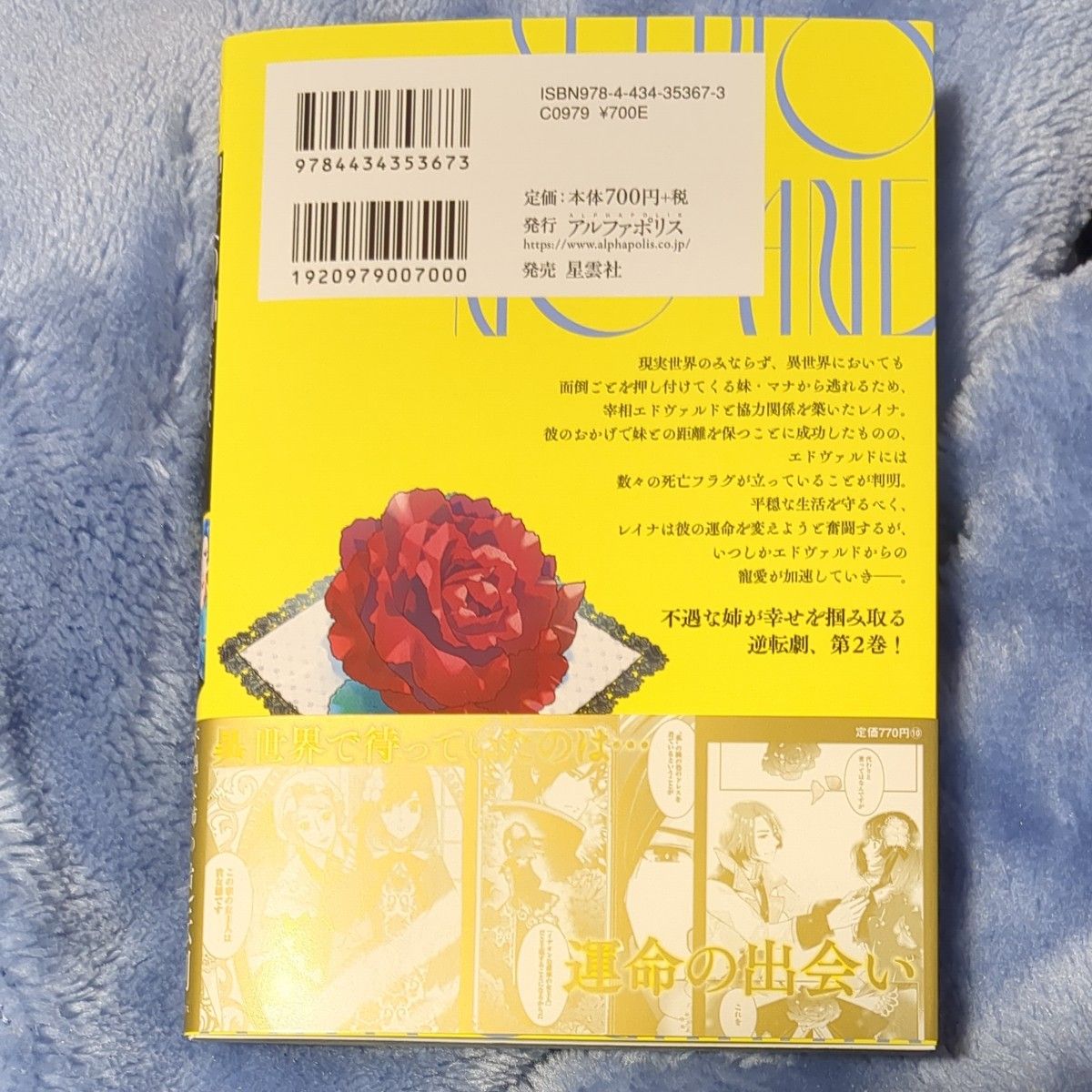 聖女の姉ですが 宰相閣下は無能な妹より私がお好きなようですよ
