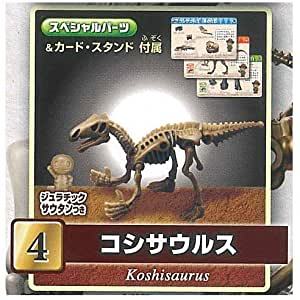 Yahoo!オークション - § ほねほねザウルス×福井県立恐竜博物館EX Yahoo!オークション - § ほねほねザウルス×福井県立恐竜博物館EX