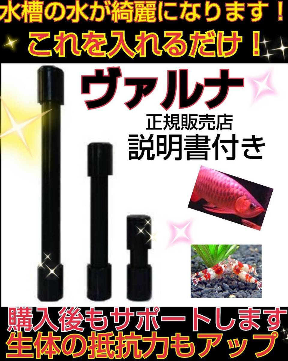 爆発的に売れてます【ヴァルナ15センチ】有害物質を強力抑制！透明度が抜群に！☆水替えも不要になります！水槽に入れるだけ！説明書付_色んなサイズあります！