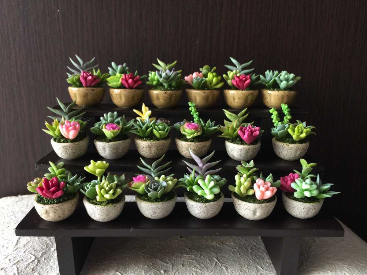 ヤフオク ハンドメイド 多肉植物の寄せ植え 丸鉢