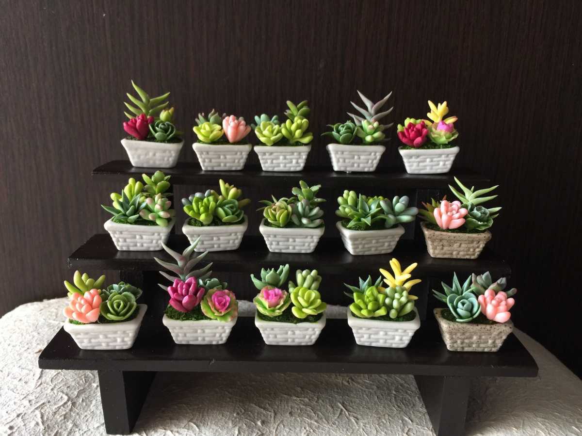 ヤフオク ハンドメイド 多肉植物の寄せ植え 丸鉢 ヤフオク ハンドメイド 多肉植物の寄せ植え 丸鉢