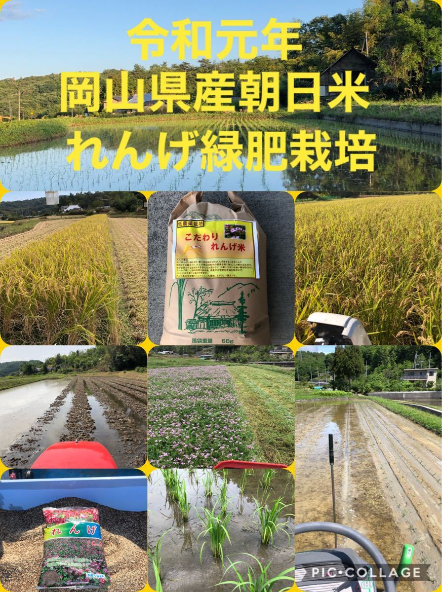 Paypayフリマ 令和元年岡山県産 朝日米 れんげ緑肥栽培 食味検査81点 玄米5キロ 送料無料 Paypayフリマ 令和元年岡山県産 朝日米 れんげ緑肥栽培 食味検査81点 玄米5キロ 送料無料