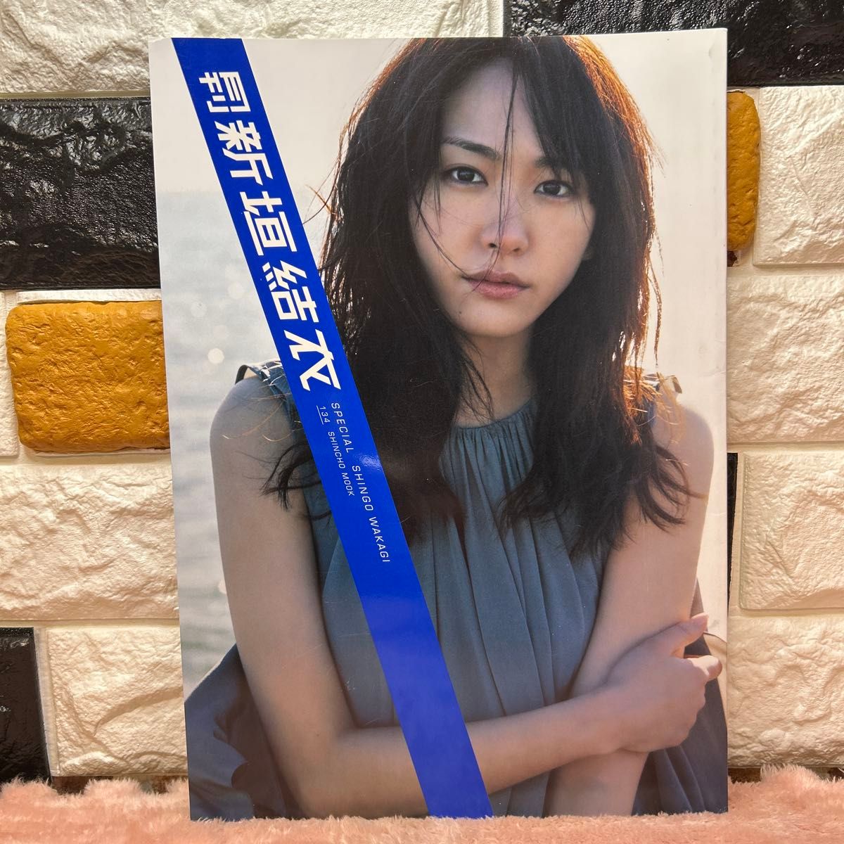 月刊新垣結衣SPECIAL (SHINCHO MOOK 134 月刊新垣結衣SPECIAL (SHINCHO MOOK 134