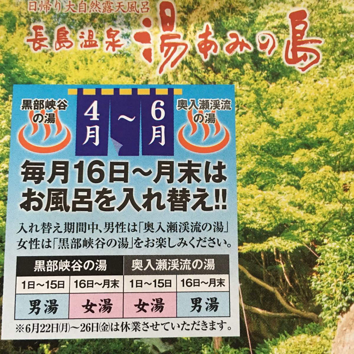 ナガシマスパーランド 湯あみの島 なばなの里 里の湯 入館券 10枚 長島温泉｜PayPayフリマ