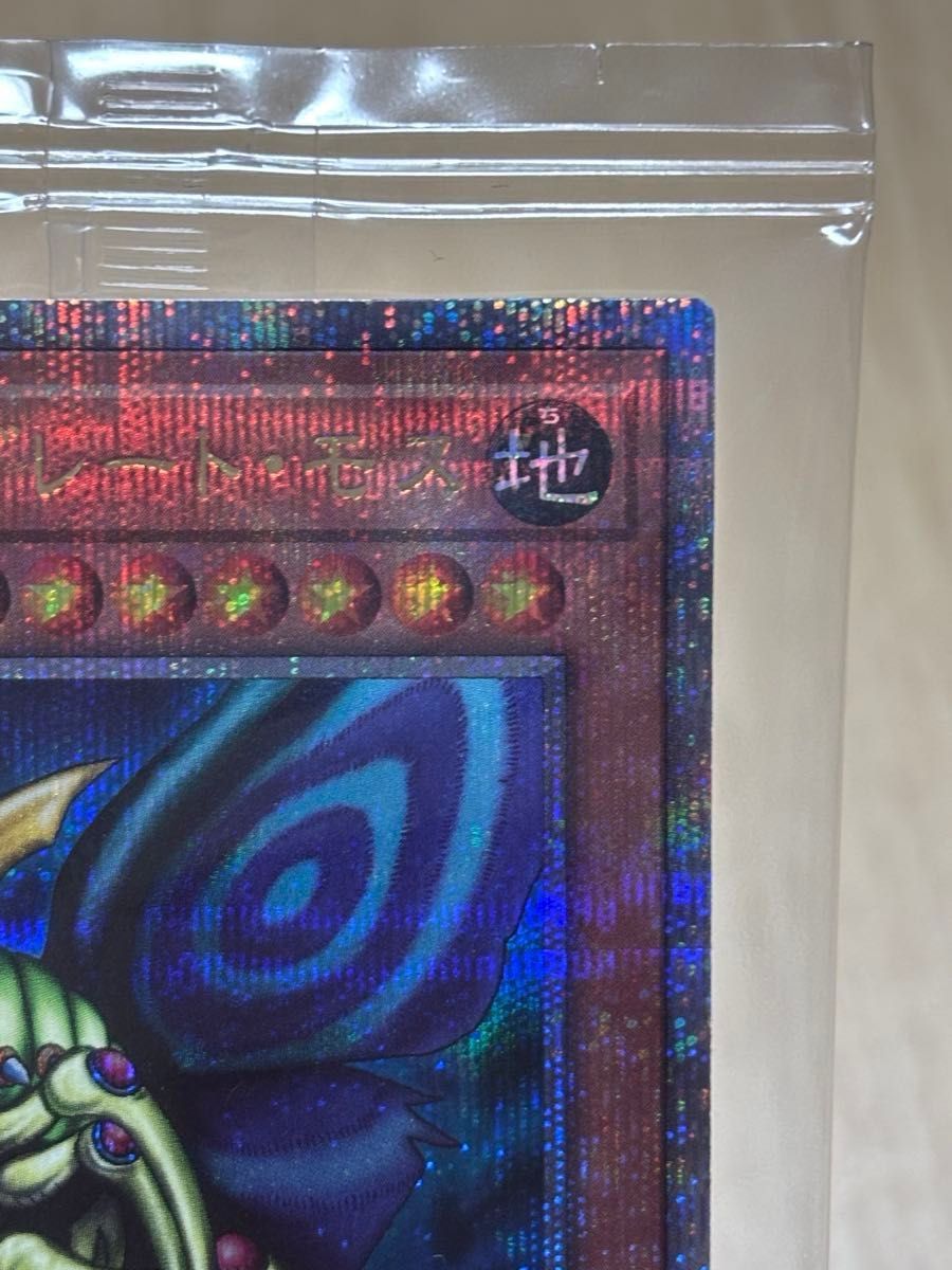 遊戯王 デュエルモンスターズ ホーリーナイトドラゴン 25th 究極 遊戯王 デュエルモンスターズ ホーリーナイトドラゴン 25th 究極